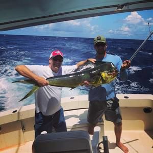 Meet your Posher, Drew